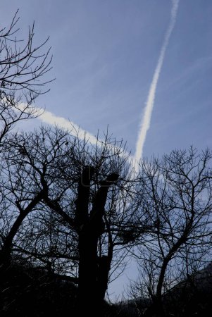 Foto de Los senderos de las estelas son nubes en forma de línea producidas por el escape del motor de los aviones, sur de Italia, marzo 27,2024. - Imagen libre de derechos