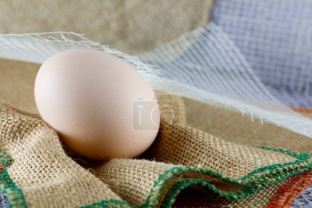 Photo for One hen's egg was placed on fabrics made of artificial fibers and line - Royalty Free Image