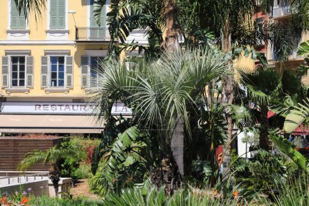 Téléchargez les photos : Nice, France - 3 mai 2023 : Petit jardin de rue près des bâtiments de la ville. Palmiers et autres plantes poussent son - en image libre de droit