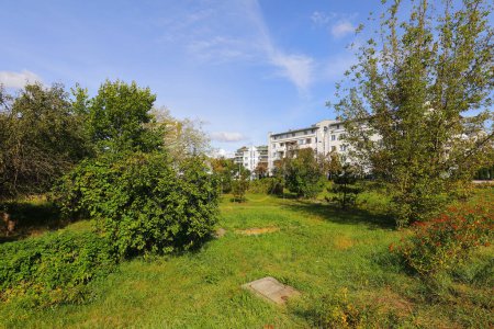 Die üppige Vegetation bildet einen natürlich wachsenden Park in der Nähe von Wohnhäusern in der Siedlung Goclaw im Warschauer Stadtteil Praga-Poludnie..