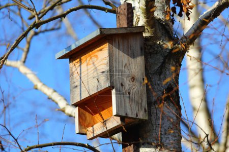 Ein hölzernes Fledermaushaus wurde an einem Baumstamm in einem öffentlichen Park in der Siedlung Goclaw in Warschau befestigt.