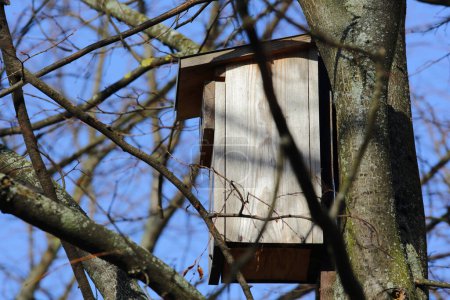Nistkasten an einem Baumstamm befestigt. Holzvogelhaus zum Schutz der Tierwelt in einem öffentlichen Park in der Siedlung Goclaw in Warschau, Polen.