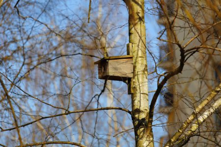 Caja de anidación unida a un tronco de árbol. Casa de pájaros de madera que ayuda a proteger la vida silvestre en un parque público en la urbanización Goclaw en Varsovia, Polonia. 