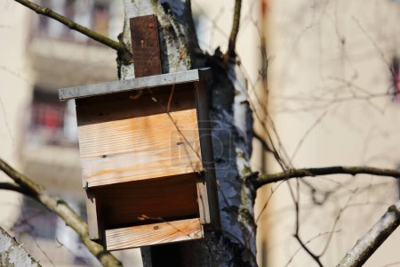 Caja de murciélagos adosada a un árbol - conservación de la vida silvestre en un parque público en la urbanización Goclaw en Varsovia, Polonia.