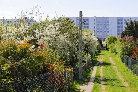 Der Feldweg führt durch Kleingärten in der Siedlung Goclaw in Warschau, Polen.