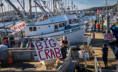 Photo for Half Moon Bay, California, USA - January 01, 2023: Fresh Dungeness crab on sale off a boat in a fishing harbor, season started in on December 31, 2022 - Royalty Free Image
