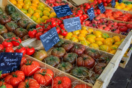 Foto de Tomates frescos y maduros con un precio de 8,9 EUR por kilo en un mercado local de agricultores provenzales en el casco antiguo o Vieil Antibes, en el sur de Francia - Imagen libre de derechos