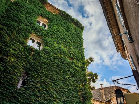 Photo for Ivy covered wall of a traditional old stone house in picturesque medieval town of Saint Paul de Vence, French Riviera, South of France - Royalty Free Image