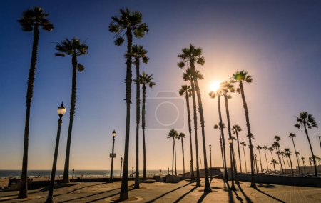 Téléchargez les photos : Silhouettes de palmiers avec un soleil éclatant au coucher du soleil près de la jetée et une plage de l'océan Pacifique à Huntington Beach, une destination touristique célèbre en Californie - en image libre de droit