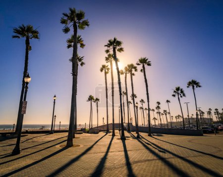 Téléchargez les photos : Silhouettes de palmiers avec de longues ombres au coucher du soleil près de la jetée et une plage de l'océan Pacifique à Huntington Beach, célèbre destination touristique en Californie - en image libre de droit