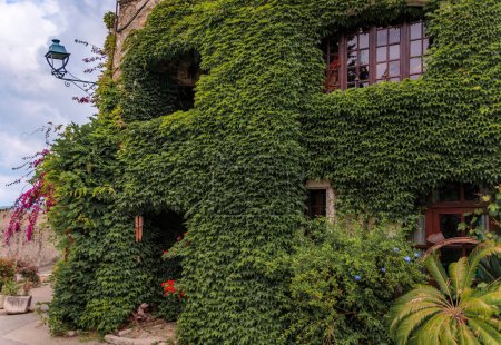 Photo for Ivy covered wall of a traditional old stone house in picturesque medieval town of Saint Paul de Vence, French Riviera, South of France - Royalty Free Image