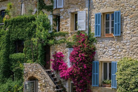 Photo for Blooming bougainvilia, jasmine and ivy covered wall of am old stone house in the medieval town of Saint Paul de Vence, French Riviera, South of France - Royalty Free Image