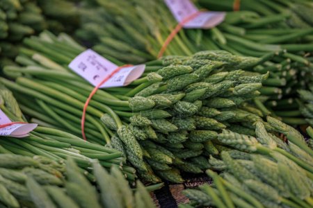 Téléchargez les photos : Asperges vertes sauvages fourragées locales fraîches à vendre dans un marché de producteurs sur la place Broglie dans le centre historique de Strasbourg, Alsace, France - en image libre de droit