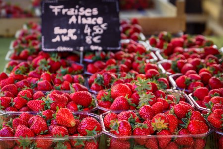 Téléchargez les photos : Fraises locales rouges mûres sur un stand à un marché de producteurs sur la place Broglie dans le centre historique de Strasbourg, Alsace, France - en image libre de droit