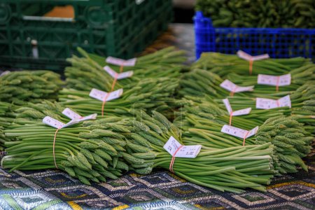 Téléchargez les photos : Asperges vertes sauvages fourragées locales fraîches à vendre dans un marché de producteurs sur la place Broglie dans le centre historique de Strasbourg, Alsace, France - en image libre de droit
