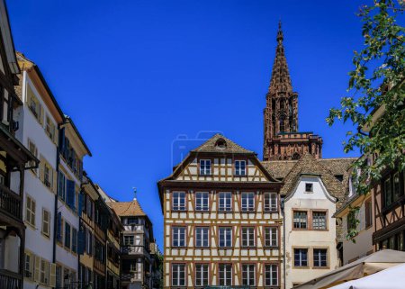 Fassade und Kirchturm der Kathedrale Notre Dame und kunstvolle traditionelle Fachwerkhäuser mit steilen Dächern umgeben es in Straßburg, Elsass, Frankreich