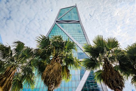 Blick auf einen Wolkenkratzer in der Innenstadt mit Palmen davor im SOMA-Viertel in San Francisco, Kalifornien