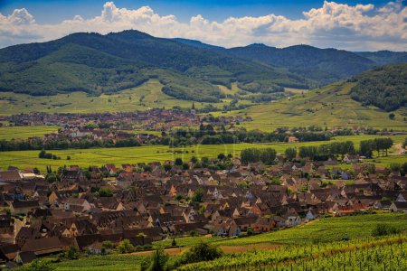 Viñedos en un viñedo y un pueblo del valle en el fondo en un pueblo popular en la Ruta del Vino de Alsacia en Sigolsheim, Francia