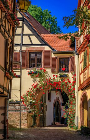 Verzierte traditionelle Fachwerkhäuser mit blühenden Blumen in einem beliebten Dorf an der elsässischen Weinstraße in Kaysersberg Vignoble, Frankreich