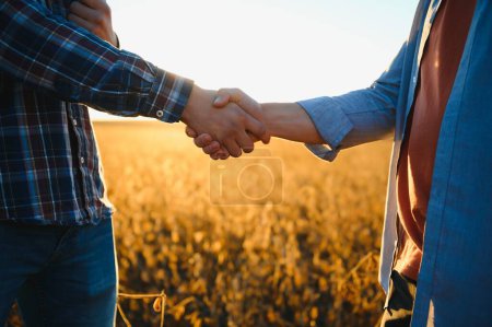 Foto de Dos granjeros dando la mano en el campo de soja - Imagen libre de derechos