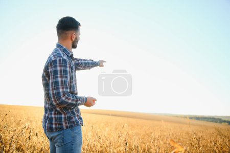 Foto de Agricultor agrónomo examinando desarrollo de cultivos de soja en campo de plantación, enfoque selectivo - Imagen libre de derechos