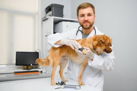 Mój najlepszy pacjent. Wesoły weterynarz w mundurze roboczym trzymający psa i uśmiechający się stojąc w klinice weterynaryjnej