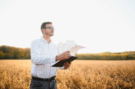 Photo for Agronomist inspects soybean crop in agricultural field - Agro concept - farmer in soybean plantation on farm. - Royalty Free Image