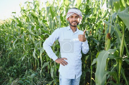 Photo for Young indian farmer or agronomist at corn field. The concept of agriculture - Royalty Free Image