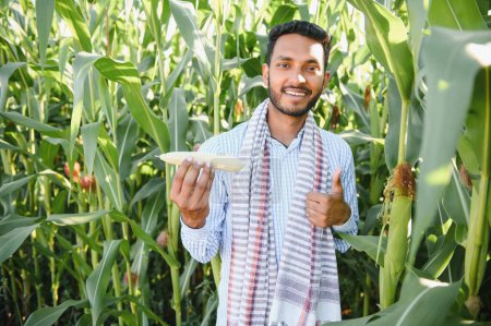 Téléchargez les photos : Jeune agriculteur ou agronome indien au champ de maïs. Le concept d'agriculture - en image libre de droit
