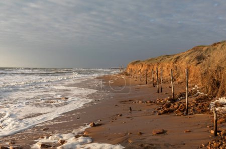 Foto de Erosión de la playa y dunas de la Paracou por la marea alta de marzo de 2024 en Les Sables d 'Olonne, Francia - Imagen libre de derechos