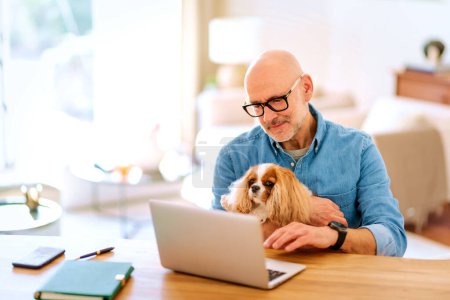 Photo for Handsome senior man working on laptop while his dog sitting in his lap. Confident man working at home with his king charles cavalier spaniel. Businessman using notebook for work. - Royalty Free Image