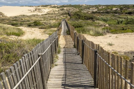 Beautiful view of the Guincho wooden pathway through the sand dunes, located in Sintra, Portugal.