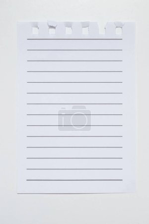 Page déchirée sur fond vertical blanc. Papier pour ordinateur portable avec lignes horizontales noires en gros plan. Papier doublé avec espace pour le texte, note, liste. Une page vide arrachée d'un carnet