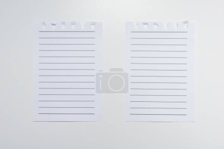 Deux pages lignées arrachées d'un carnet sur un fond horizontal blanc. Papier pour ordinateur portable avec lignes horizontales. Papier doublé avec espace pour le texte, note, liste. Gros plan de papiers doublés arrachés à un carnet