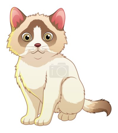 Little Ragdoll Cat Cartoon Animal Illustration