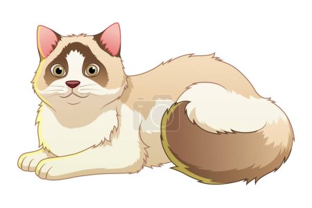Illustration for Ragdoll Cat Cartoon Animal Illustration - Royalty Free Image