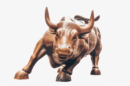 Foto de Toro de carga aislado sobre fondo blanco. Bull representa un optimismo financiero agresivo y prosperidad
, - Imagen libre de derechos