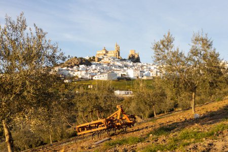 Blick auf die Stadt Olvera, die als Tor zur Route der weißen Städte in der Provinz Cadiz gilt, Spanien.