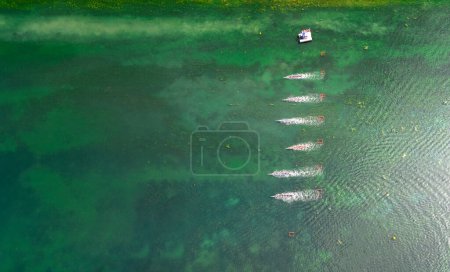 Photo for Aerial photo of colourful sports canoes at a competition, taken from above on Lake Maschsee - Royalty Free Image