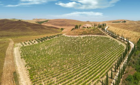 Tuscan landscape on a road of cypress trees near San Quirico d Orcia, Italy