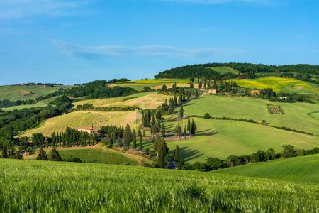 Téléchargez les photos : Toscane. Vue paysage, collines et prairie Toscane Italie - en image libre de droit