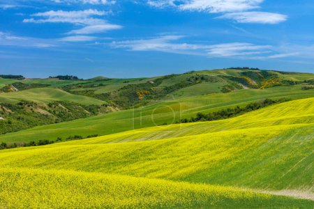 Téléchargez les photos : Toscane. Vue paysage, collines et prairie Toscane Italie - en image libre de droit
