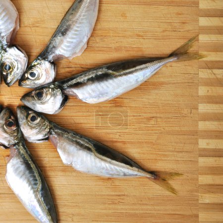 Foto de Limpio y listo para cocinar caballa de pescado fresco, pescado istavrit, en la tabla de cortar de bambú - Imagen libre de derechos