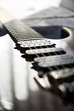 Elektrischer Gitarrensteg, Saiten und Tonabnehmer, Detailaufnahme des Tonabnehmers in Holz-Nussbaum, Saiteninstrument