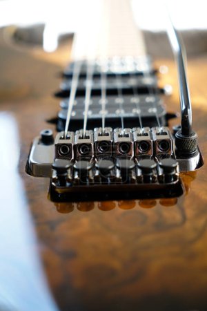Electric guitar bridge, strings and pickup, detail close-up view of guitar pickup in wood walnut, stringed musical instrument
