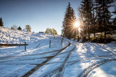 Téléchargez les photos : Rural road in East European village during winter, Slovenia - en image libre de droit
