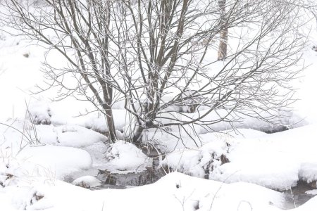 Téléchargez les photos : Snow in winter near river on meadow - en image libre de droit
