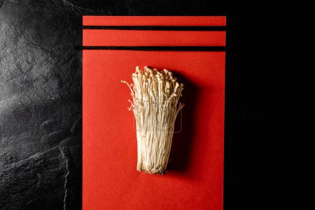 Téléchargez les photos : Mushroom on red and black - en image libre de droit