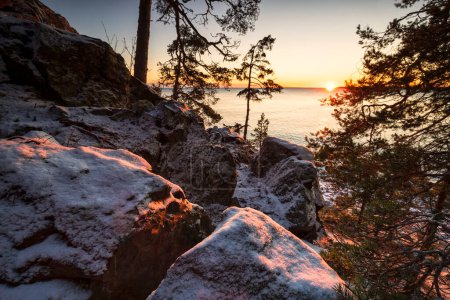 Téléchargez les photos : Sunrise at Baltic sea shore in winter, Sweden - en image libre de droit