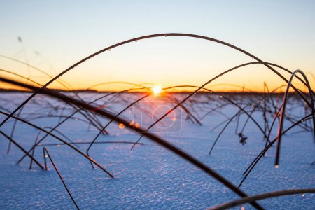 Téléchargez les photos : Sunset on frozen snowy lake in winter, Sweden - en image libre de droit